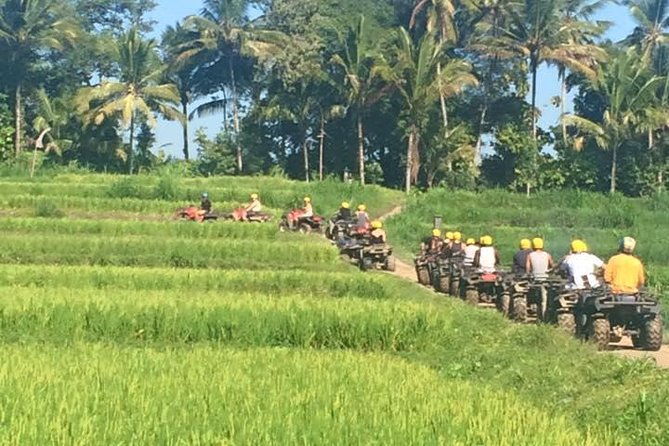 Bali ATV Ride Ubud Jungle Track - The Itinerary: What to Expect