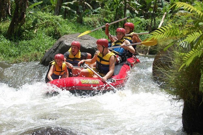 Bali: Ayung River White Water Rafting Adventure - The Logistics and Practical Details