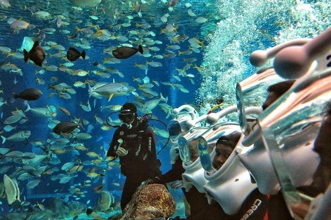 Bali Best Watersport Sea walker,Parasailing adventure,Jet sky - What Sets This Tour Apart?