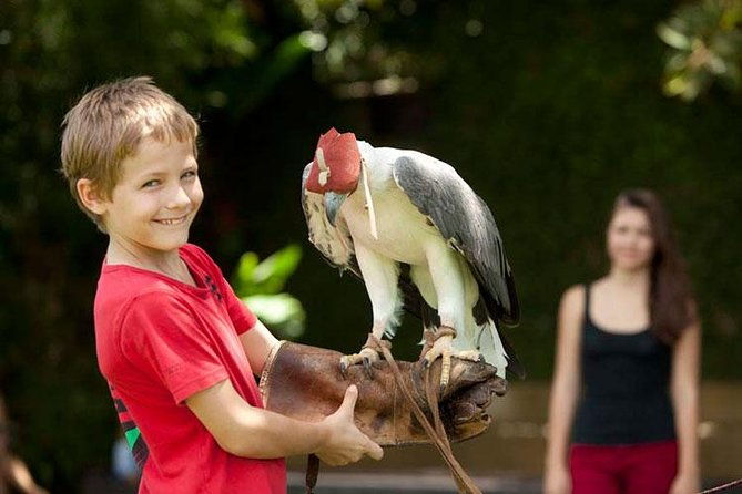 Bali Bird Park Admission Ticket with Hotel Transfer - An In-depth Look at the Tour Itinerary