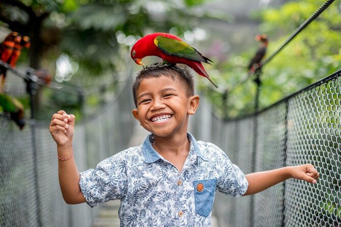 Bali Bird Park Admission Ticket - The Breakdown of the Itinerary and Experience