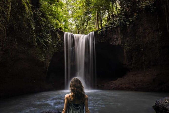 Bali Blue Lagoon Snorkeling and Waterfall Day Tour with Lunch - Who Will Love This Tour?