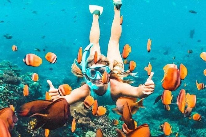 Bali Blue Lagoon Snorkeling - Lunch and Transport All Inclusive - Transportation & Convenience