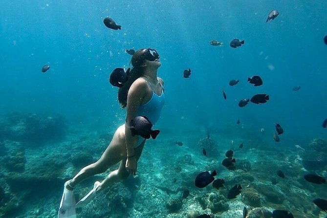 Bali Blue Lagoon Snorkeling with optional Tours and Activity - The Practical Side: What’s Included and Not