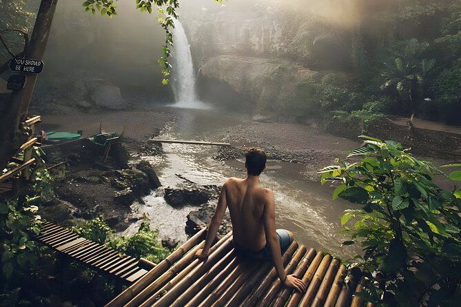 Bali Car-Charter: Half Day Ubud Waterfall Tour - What Reviewers Say
