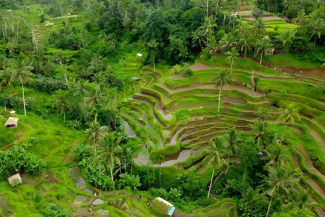Bali Car-Charter: Ubud Full Day Tour - Final Thoughts