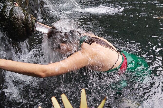 Bali Culture Tour - Water Blessing Experienced - All Inclusive - Who Will Love This Tour?