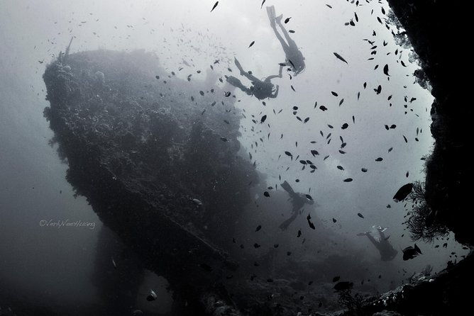 Bali Diving Day Trip-Manta Point/Tulamben Shipwreck-Fun Dive - What Sets the Guided Dives Apart