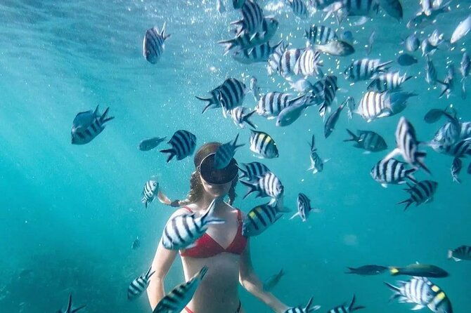 Bali Experience Blue lagoon snorkeling and hidden waterfall - What Makes This Tour Stand Out