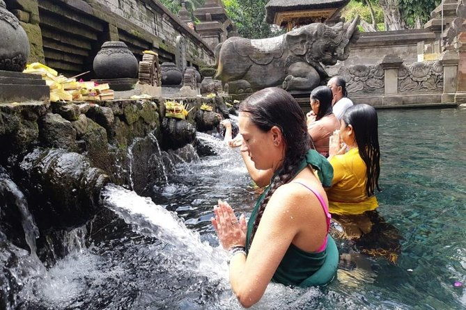 Bali Full Day Holy Water Tour - Is This Tour Worth The Price?