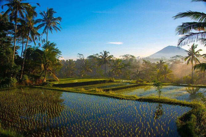 Bali Full Day Photography Tour - Authentic Experiences and Insights from Reviews