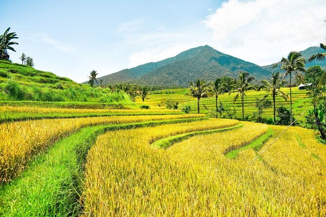 Bali Full-Day Private Customize Tour - Who Is This Tour Best For?
