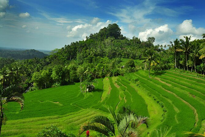 Bali Full Day-Tour: Kintamani Volcano and Besakih Temple Tour - Transportation and Timing: Making the Most of Your Day