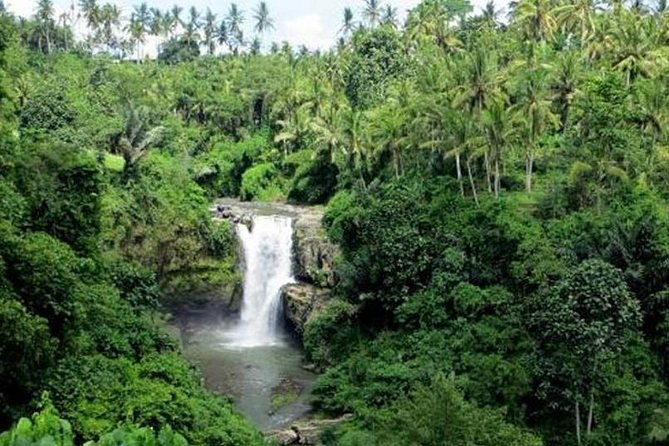 Bali Full Day Tour  Ubud and Tanah Lot Temple Tour - The Guides and Guest Experience