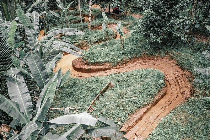 Bali: Gorilla Face ATV Bali Ubud Adventure with Lunch - The Authenticity and Insider Tips from Reviewers