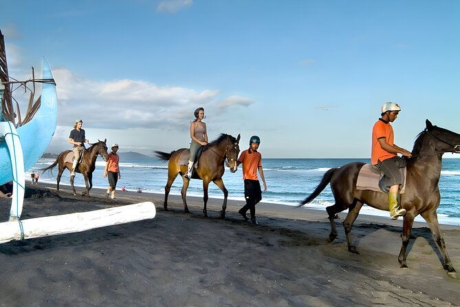 Bali Horse Riding in Saba Bay for 1 Hour with Pick Up Service - Why This Tour Stands Out