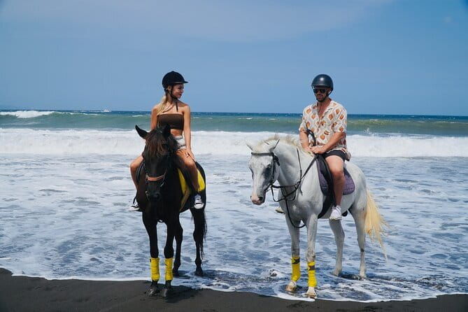 Bali Horse Riding Trot & Canter Sanur Beach include Transport - What the Reviews Reveal