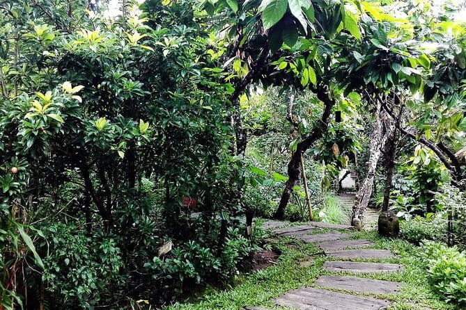 Bali in 1-Day : Rice Terrace, Volcano, Tanah lot - All Inclusive - A Deep Dive into the Bali in 1-Day Tour