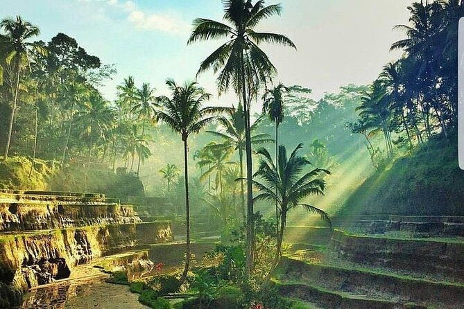 Bali Jungle Swing & Ubud Tour - Authentic Experiences and Genuine Impressions