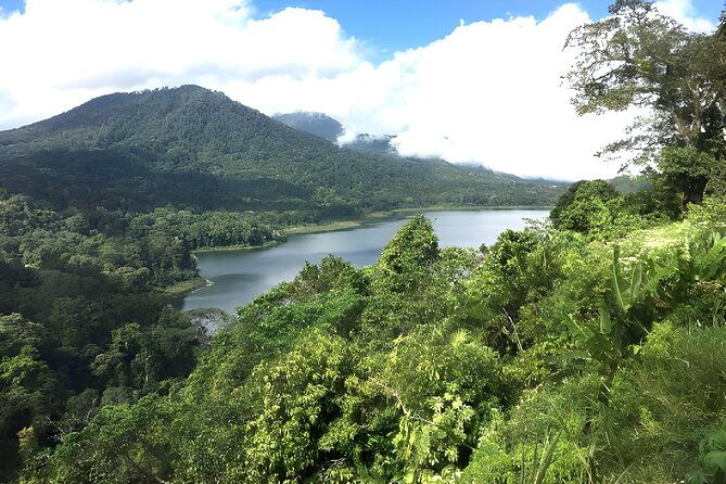 Bali Jungle Trekking in Beautiful Rainforest - FAQs