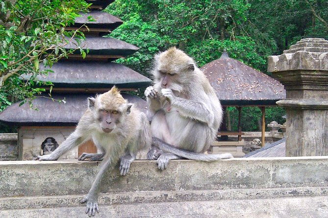 Bali Package Tour: 4 Days & 3 Night - Why This Tour Offers Great Value  