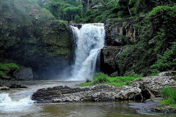 Bali Private Car Charter With English Speaking Driver - Who Would Love This Tour?