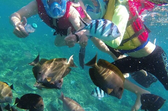 Bali Private Custom Tour - What Makes This Tour Stand Out?