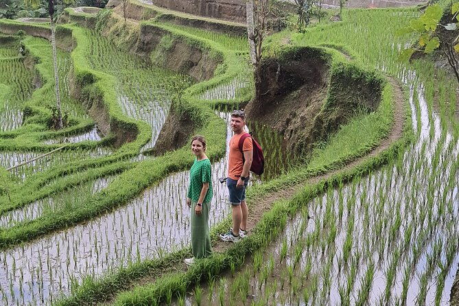 Bali Private Driver and Car for Customize Tours - Tirta Empul Temple for Ritual Purification