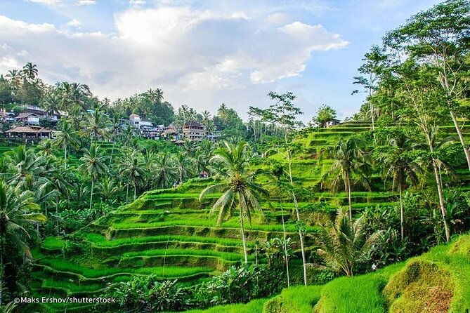Bali Private inclusive tour: Best of Ubud in a Day - Authentic Insights from Other Travelers