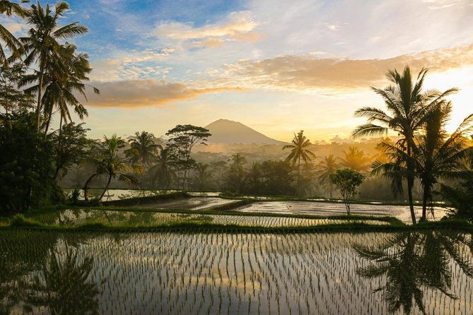 Bali Pure trek with spiritual journey, purification ceremony, local priest -Ubud - What Makes This Tour Valuable?