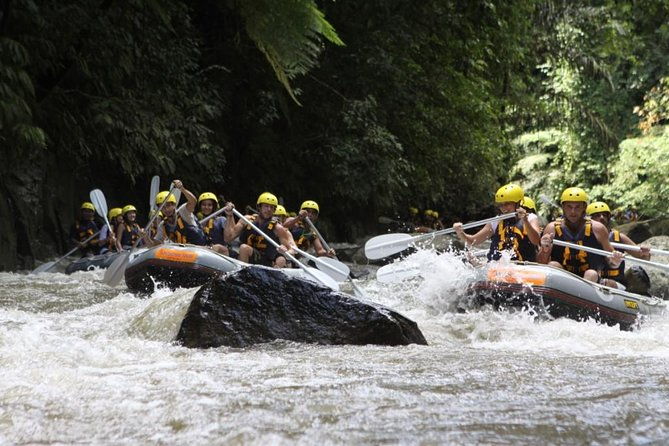 Bali Rafting Ubud with Lunch - What’s Included & What’s Not