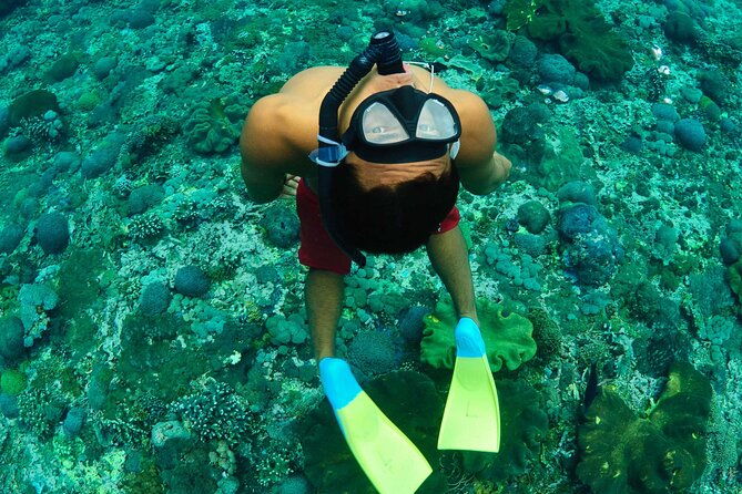 Bali Reef Cruise and Lembongan Island Day Trip - Transportation, Duration, and Group Size