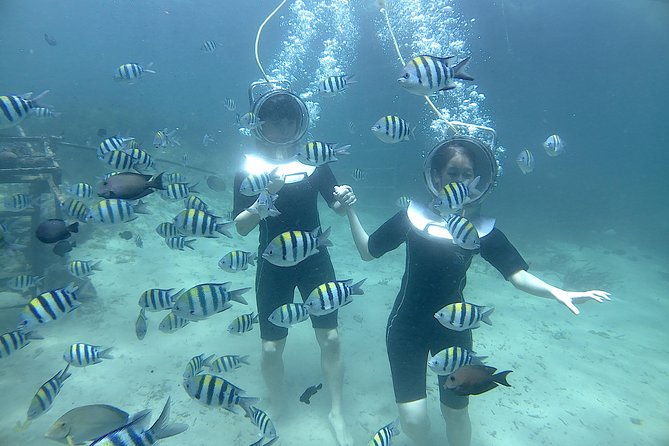 Bali Seawalker - Who Should Consider This Tour?