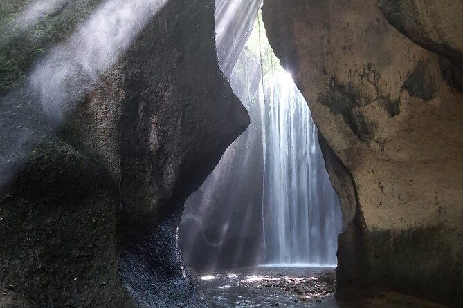 Bali Sightseeing Tour - Traditional village - Waterfall - The Experience of a Private Guide and Transportation