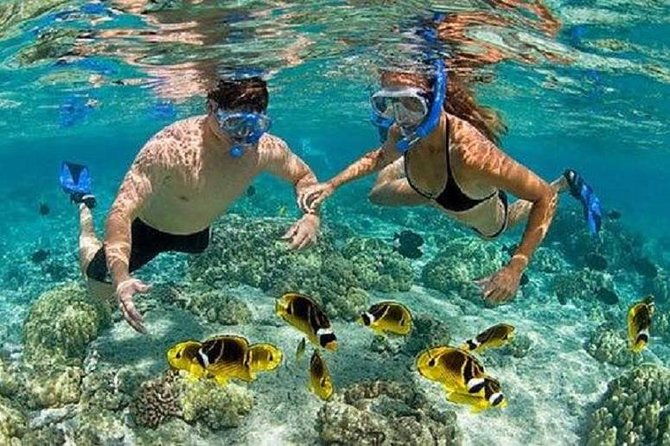 Bali Snorkeling at Blue Lagoon with Transport and Lunch - The Itinerary in Detail