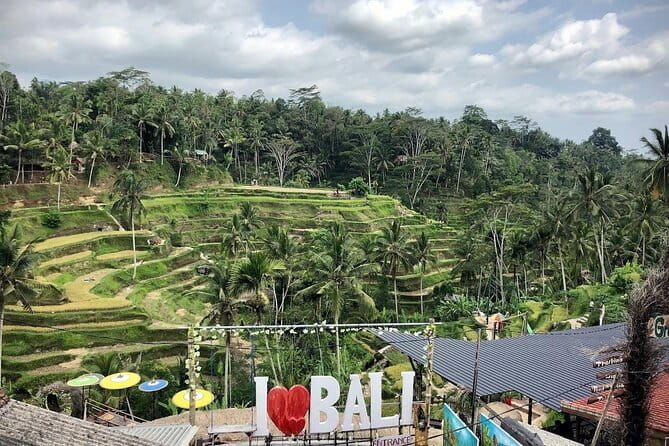 Bali Swing Packages and Kintamani Mt Batur Volcano View - Practical Details & Value