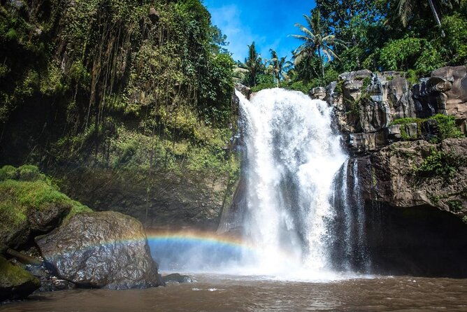 Bali Swing Ubud Hot Spring Waterfall Private Tour Free WiFi - What Does the Price Include and What’s Extra?