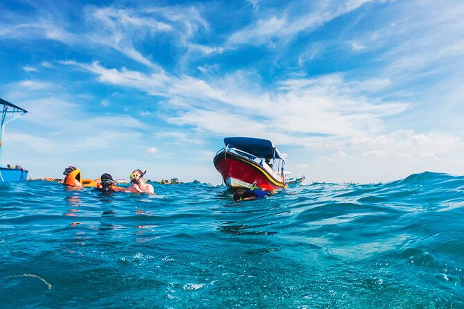 Bali Tropical Snorkeling and Mangrove Cruise - Introduction: A Different Side of Bali