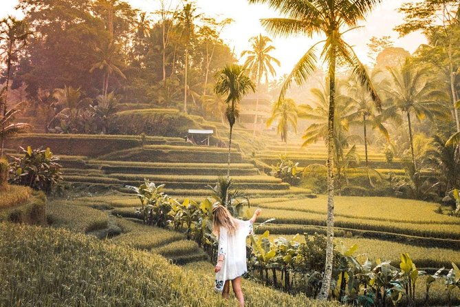 Bali Ubud private Tour with Ubud Bali Driver - FREE WIFI - What You Can Expect from the Experience