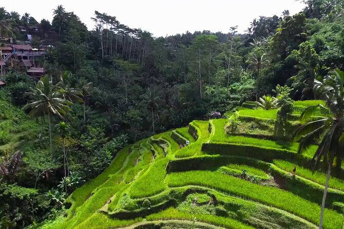 Bali Ubud Tour - FAQs