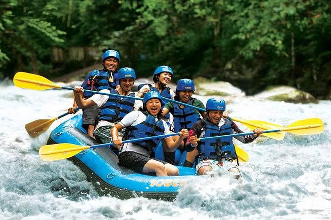 Bali Water Rafting with Lunch & Private Transfer - Why This Tour Is a Great Value