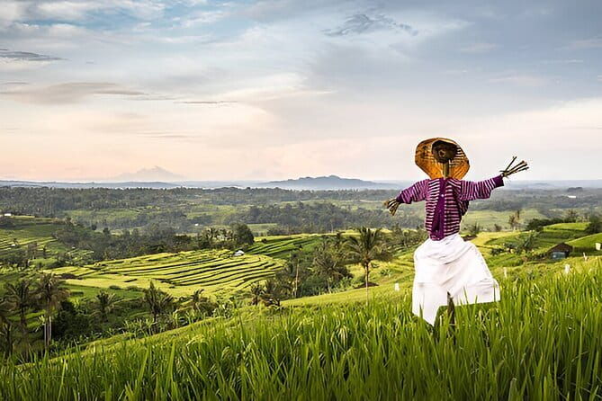 Bali Waterfall Wonders | A Nature Escape | All Inclusive - What Makes This Tour Stand Out