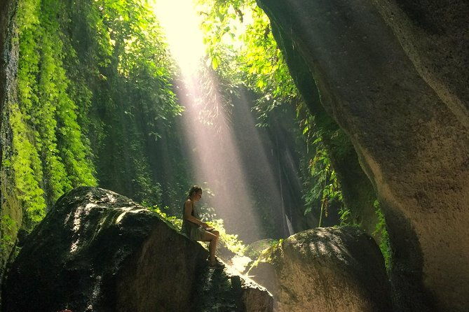 Bali Waterfalls and Temples Tour - Who Will Love This Tour?