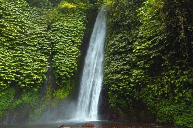 Bali Waterfalls Tour - One Day Private Tour - Practical Details & What to Expect