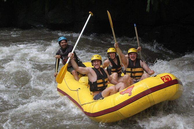 Bali White Water Rafting Yellow Garden - The Rafting Itinerary: From Rapids to Waterfalls