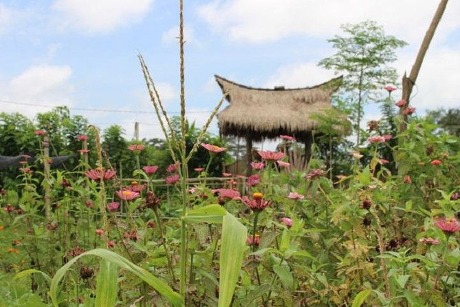 Balinese Cooking Class at Organic Farm - Practical Details and Why It Matters