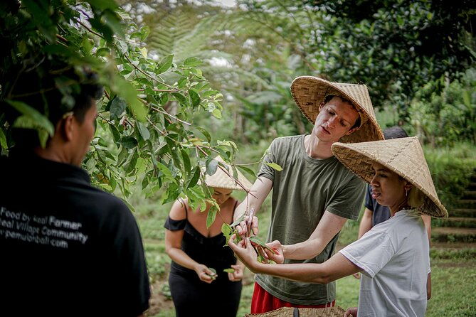 Balinese Farm Cooking Class by Pemulan Bali - A Closer Look at the Experience