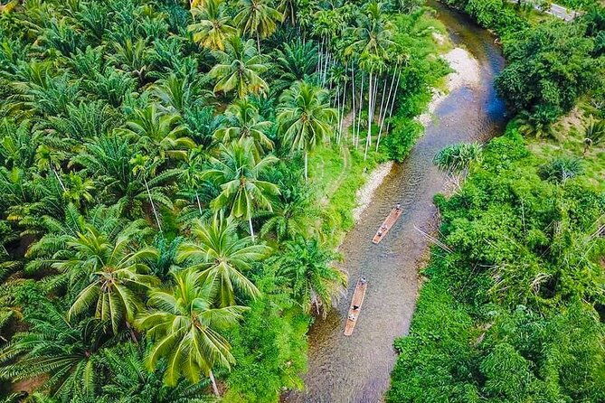 Bamboo Rafting and Sea Turtle Conservation Center Half Day Tour From Khao Lak - Who Is This Tour Best For?