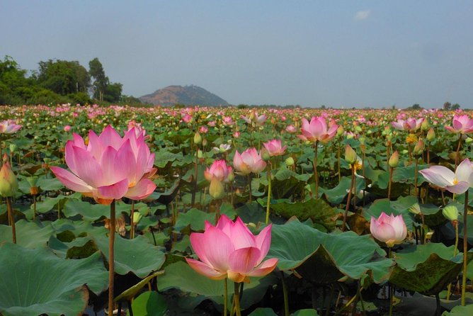 Bangkok to Angkor Wat 2 Days 1 Night tour go by Flight and Take car back - Travel Details & What to Expect  