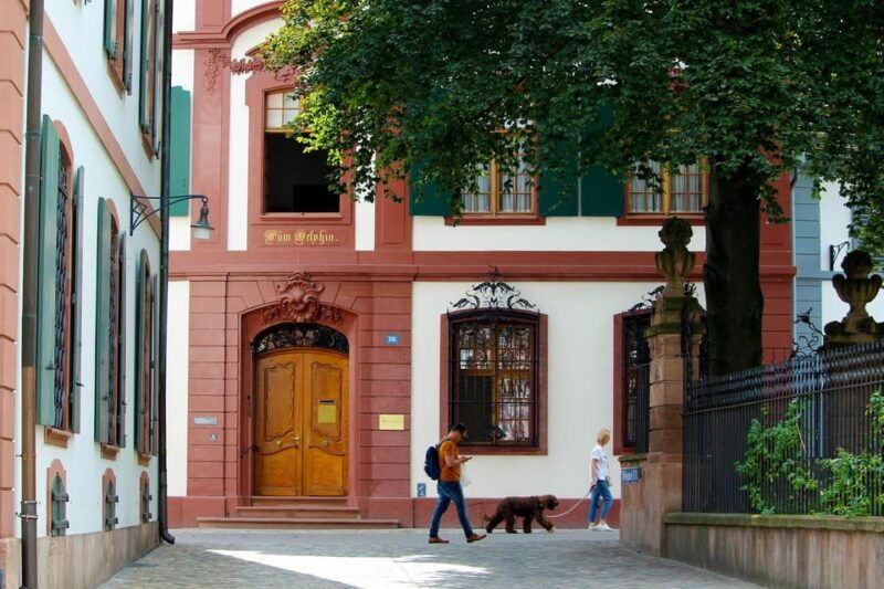 Basel private guided city tour - Exploring Basel with a Private Guide: An In-Depth Look